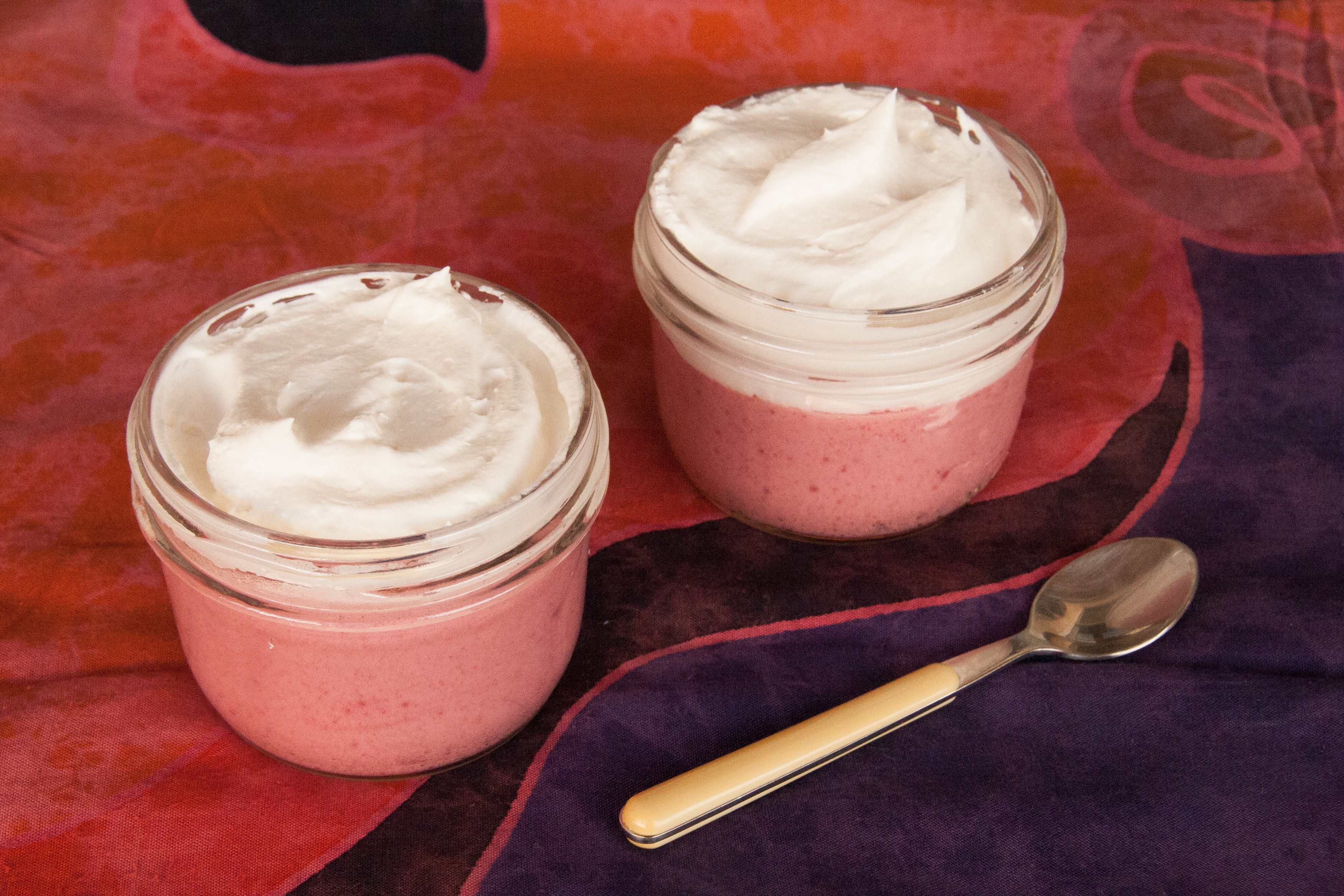 Wild Plum Mousse Recipe: Light, Fluffy, and Low Carb