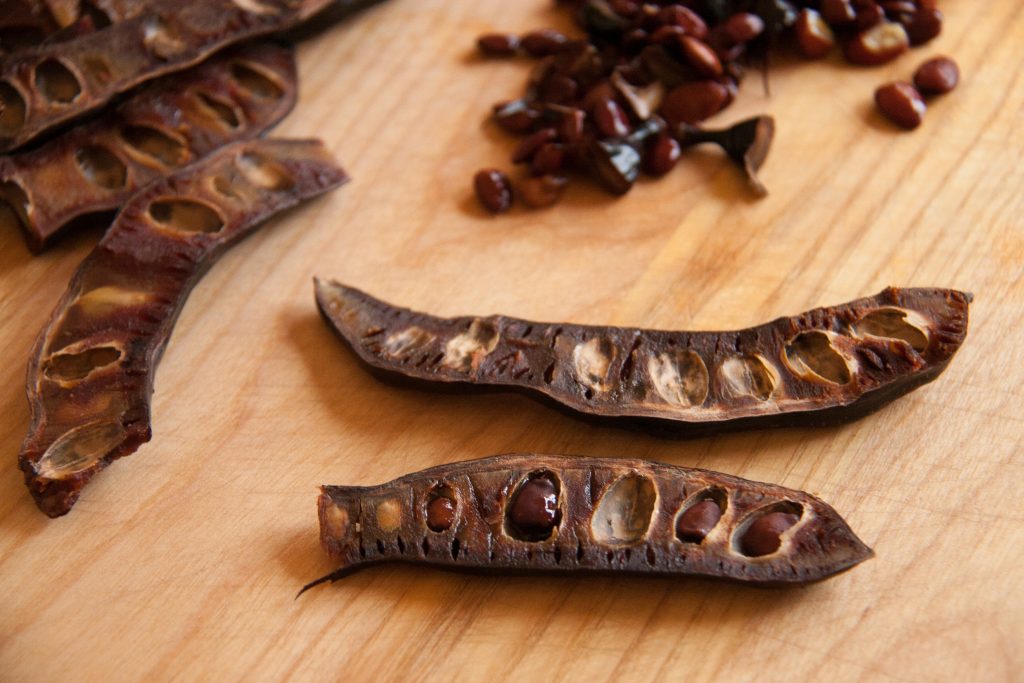 remove seeds from the carob pods