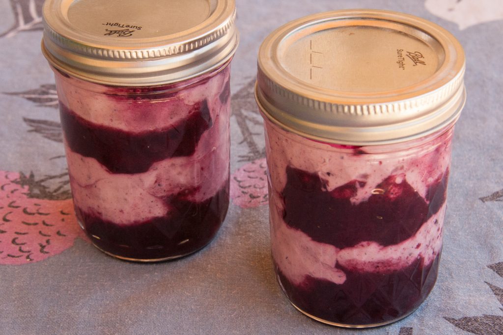 wild blueberry fool