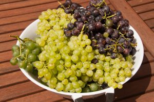 feral grapes