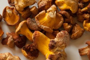 chanterelles