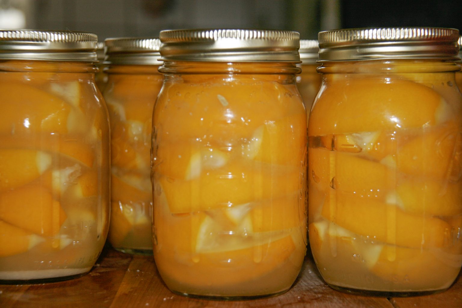 Preserved Meyer Lemons Recipe Backyard Forager