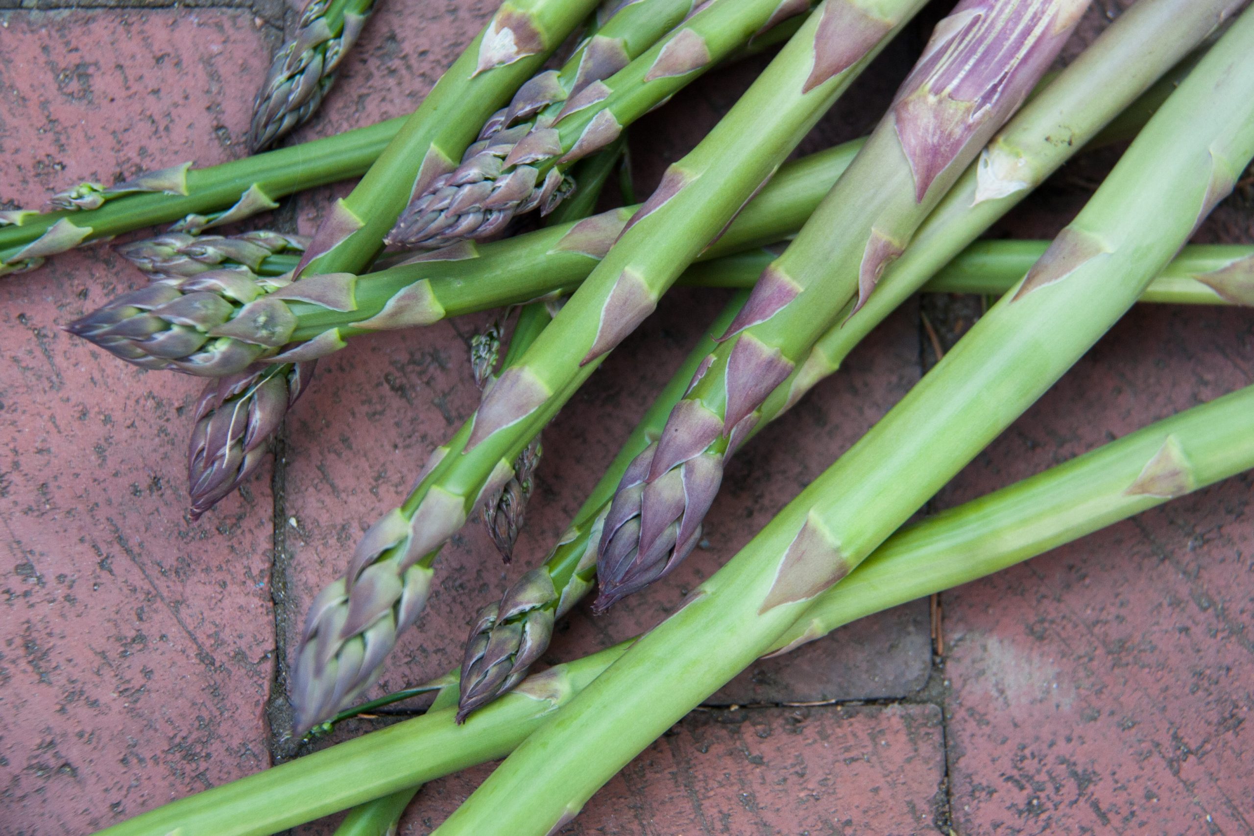 A Stalk of Wild Asparagus (pun intended)
