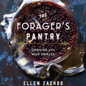 foragers pantry book