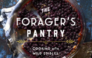 forager's pantry book