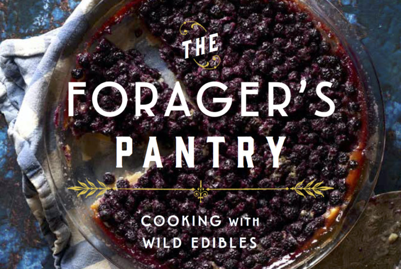 Forager's Pantry cover