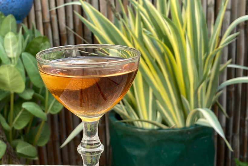 apricot umeshu liqueur in a glass